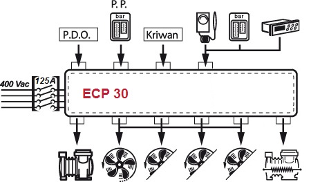 ECP 30